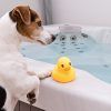Perros Pequeños (Hasta 10kg)