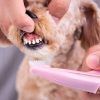Higiene Dental